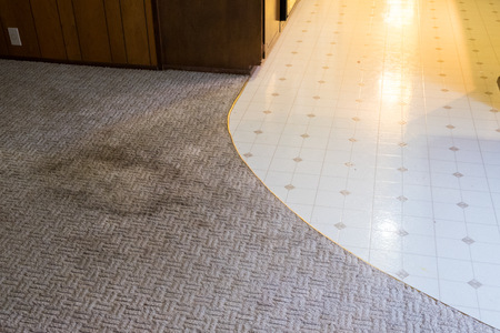 Clark NJ Carpet Care