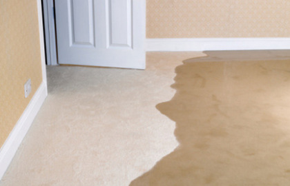 Flood Damaged Carpet Photo